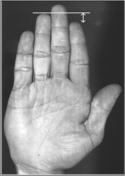 Picture8